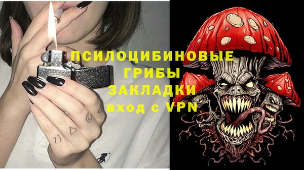 винт Нягань