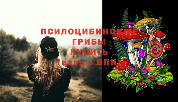кристаллы Осташков